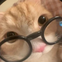 Hệ thống mèo méo