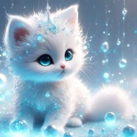 Hệ thống - an an