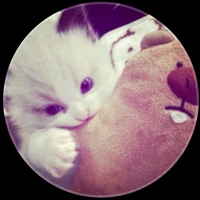 ౨ৎ𝘒𝘩𝘢𝘏𝘢𝘯𝘵/𝘨౨ৎ