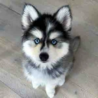 Tyche
