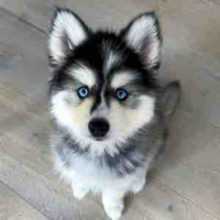 Tyche