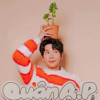 Phạm Anh Quân (E)