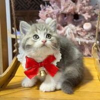 hệ thống - Neko