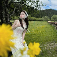 Dương Hoàng Yến ( én )