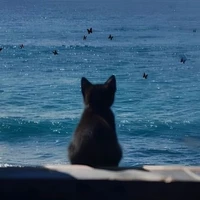 Không tên /⁠ᐠ⁠｡⁠ꞈ⁠｡⁠ᐟ⁠\