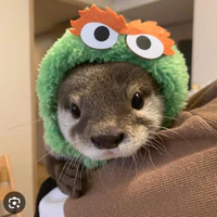 Tác giả cute