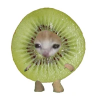 kiwi t/g