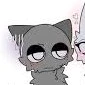 Gray ( lạnh lùng cat)