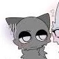 Gray ( lạnh lùng cat)