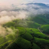 Tác giả Xinh đẹp 