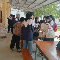 cteee