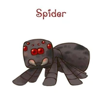 Spider|🕷️