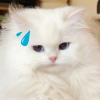 T/g lười:))