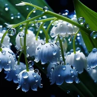 [๑Hệ thống๑279]