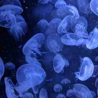 Nhân vật phụ nữ