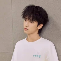 Nghiêm Hạo Tường