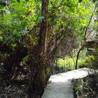 Byelorussia - Tác giả