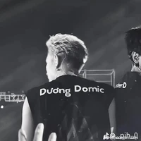 dương domic