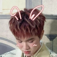 t/g iu rhycap