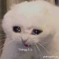 Tác giả mê boy love 