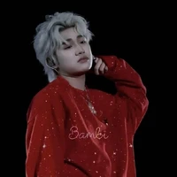 🐢☆ BAM .。🌻💤