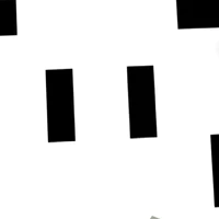 NVP Nam