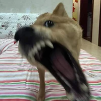 nhỏ khờ 🐟// tác giả //