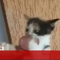 ？？？