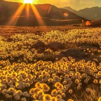 Nhóm bạn ( tùy trường hợp)