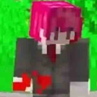 H1H4 