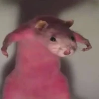 người bịa truyện