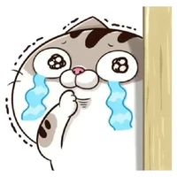 con cầm kịch bản