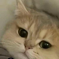 T/G