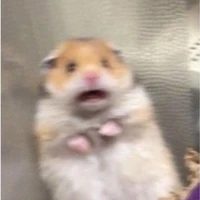 Tg