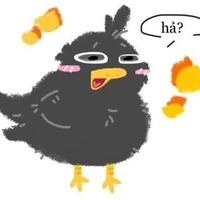 T/G