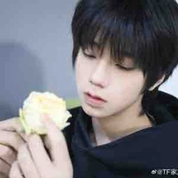 Vương lỗ kiệt(kiệt)