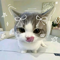 Ribbon🎀