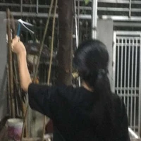 Diệu Vy