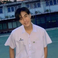 Gemini norawit