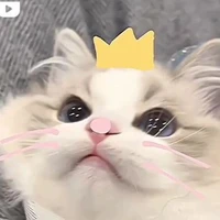 T/g nà