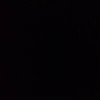 T/g hay lười💤