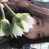 T/g (người mê RhyCap)