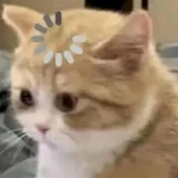 tác giả mất não:)))