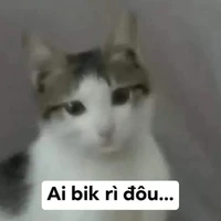 Một lần dơ tay, nửa học kì hướng nội