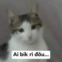 Một lần dơ tay, nửa học kì hướng nội