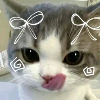 Con tác giả khùng😘
