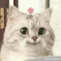 nhìn tên rồi thì like mau