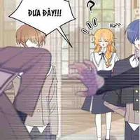 Shu,Hestia,Swan,Cory,Yves