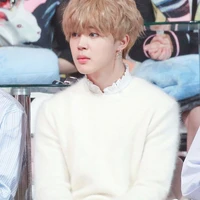 Park Jimin / Rinkay