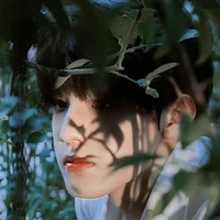 Trương Trạch Vũ